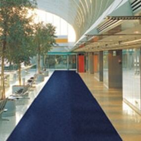 Moderner Empfangsbereich mit blauem Teppich, großen Fenstern und eleganter Innenarchitektur.