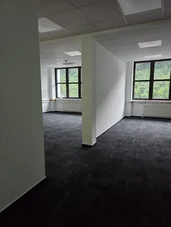 Leerer Büroraum mit Teppichboden, Trennwand und Fenstern mit Waldblick