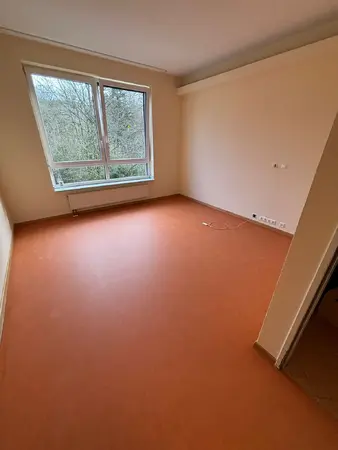 Leeres Zimmer mit großem Fenster, Heizkörper und Blick ins Grüne, Wohnung￼